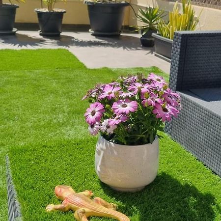 La Zenia Sabrina Apartment 5 Orihuela Ngoại thất bức ảnh