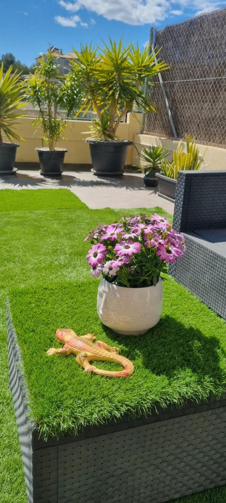 La Zenia Sabrina Apartment 5 Orihuela Ngoại thất bức ảnh